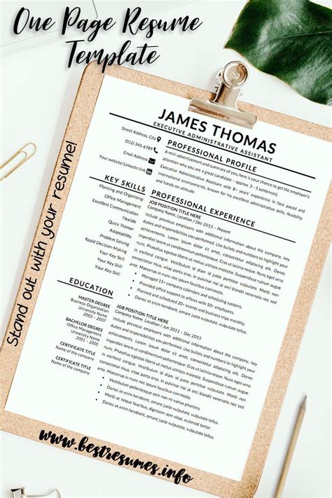 Download One Page Resume Template And Stand Out With You Resume Enjoy