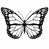 Butterfly Monarch Coloring Clipart Butterflies Drawing Outline Simple Pic Color Clipartbest Clip Pages Mariposa Printable Blanco Negro Para Colorear Mariposas sketch template