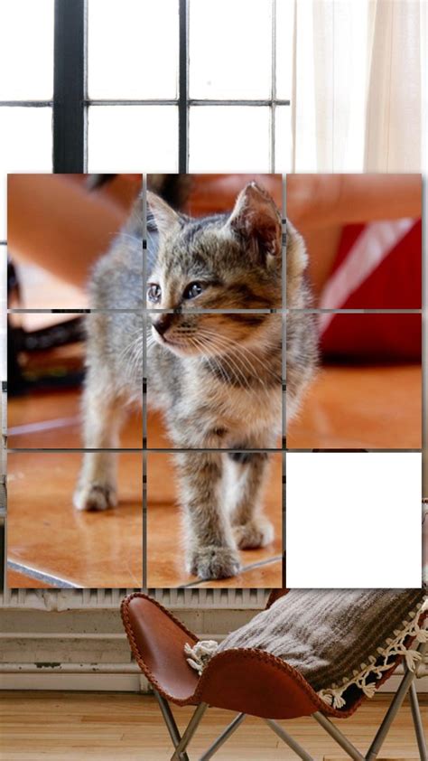 cute kittens games puzzles and sounds in this awesome