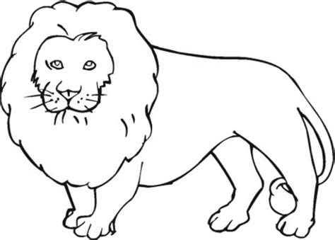 lion coloring pages  kids disney coloring pages