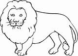 Coloring Pages Lion Kids sketch template