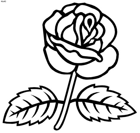 rose coloring pages  print coloring home
