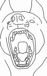 Vicious Dog Drawing Getdrawings sketch template
