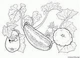 Verduras Establecer Pocas sketch template