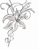 Facili Matita Disegno Disegnare Fiore Copiare Orchid Bellissimi Belli Doodle Stella Archzine Colorare Sbavature Schizzi Disegnati Semplice Piccola Tatuaggio Scegli sketch template