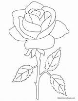 Coloring Stem Pages Rose Getcolorings Printable Color sketch template