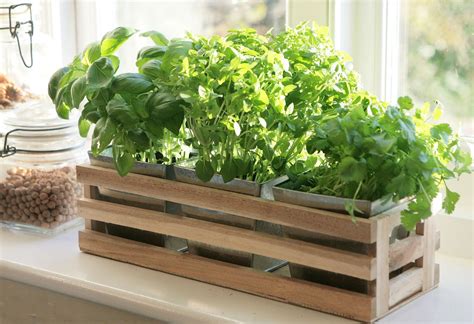 window box herb garden planter details  kitchen herb window planter box wooden trough