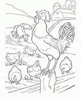 Gallos Bauernhof Rooster sketch template