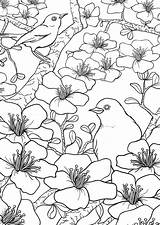Blossom Chew Craftgossip sketch template