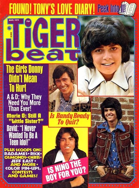 see top 1970s stars on 17 vintage tiger beat magazine covers and