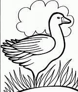 Coloring Pages Colouring Kids Printable Duck Print Color Drawing Duckling Dippy Bird Pre School 321coloringpages Activity Getdrawings Animal Use Search sketch template