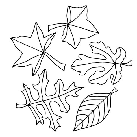 fall leaves coloring pages printable printable world holiday