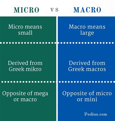 difference  micro  macro pediaacom