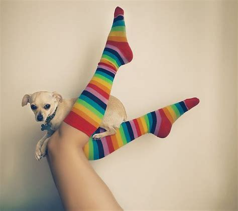 rainbow socks rainbow socks rainbow photo rainbow