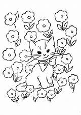 Coloring Kitten Pages Flowers Printable Kids sketch template