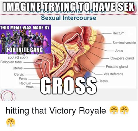 Maginetrving To Have Sex Sexual Intercourse This Meme Was