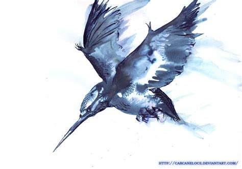 pin  erica  hy mythical birds kingfisher art bird drawings