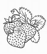 Strawberry Strawberries Coloringhome Wuppsy Yummy Cherries sketch template