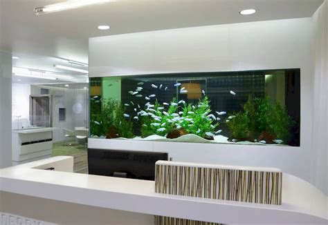 wall mounted fish tank  review  buyers guide