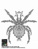 Coloring Arachnid Pages 68kb 1275 Complicatedcoloring sketch template