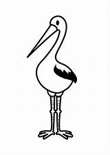 Coloring Stork Pages Coloringtop sketch template