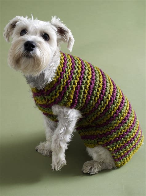 straight needles beginner easy knit dog sweater patterns  designed