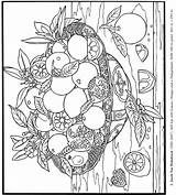 Coloring Still Life Pages Color Dover Publications Paintings Adult Own Fruit Printable Book Books Designlooter Food Sheets 06kb sketch template