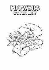 Lily Pad Coloring sketch template