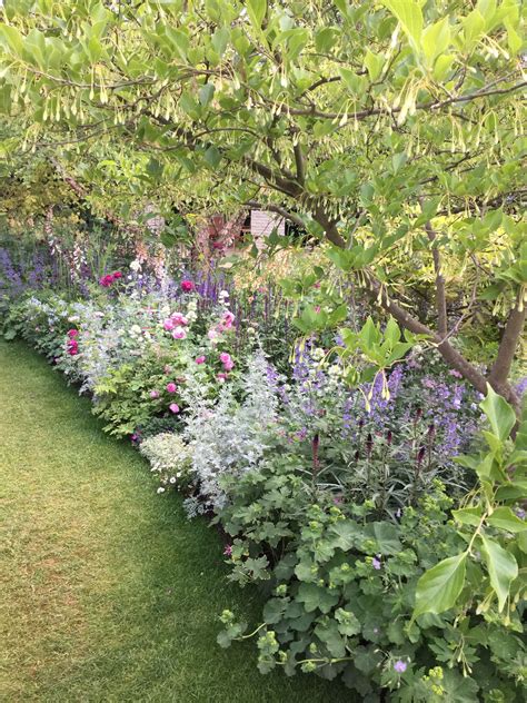 love  border  purple  pink garden design plants garden
