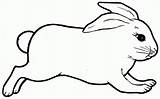 Rabbit Bunny Outline Coloring Pages Animal Template Drawing Colouring Templates Jumping Printable Realistic Rabbits Clipart Bunnies Print Cute Silhouette Easter sketch template
