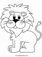 Colorare Coloring Pages Lion Da Leone Disegni Disegno Animali Choose Board Kids Sagoma sketch template