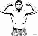 Canelo Alvarez Saul sketch template