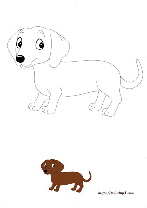 weiner dog coloring pages   coloring sheets    dog