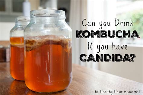 can candida sufferers drink kombucha healthy home economist
