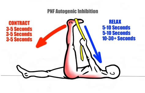 What Is Autogenic Inhibition [drenchfit Health And Fitness]