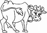 Cow Coloring Kids Pages Animal Drawing Cute Printable Cows Colouring Sheet Para Colorear Animales Color Pattern Books Imagenes sketch template