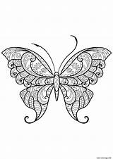 Coloriage Papillon Motifs Adulte Jolis Imprimer sketch template
