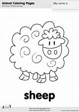 Coloring Sheep Super Simple Pages Farm Old Macdonald Animals Animal Songs Supersimple Choose Board Song sketch template