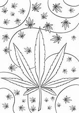 Coloring Weed Pages Psychedelic Printable Stoner Trippy Leaf Pot Drawings Marijuana Drawing Cannabis Adult Funny Awesome Book Cartoon Info Birijus sketch template