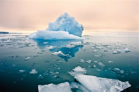 arctic sea ice   vanish   summer earthcom