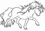 Horse Miniature Coloring Pages Pony Getcolorings Getdrawings sketch template