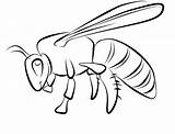 Bijen Dieren Kleurplaten Tekeningen Wesp sketch template