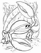 Pesci Colorat Kleurplaten Krab Animale Raci Coloriages Ribe Crabe Desenhos Bojanke P14 Colorir Mewarnai Malvorlagen Krabbe Crtež Kepiting Riba Planse sketch template