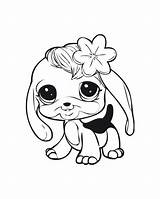 Coloring Pages Pet Littlest Shop Puppy Baby Dog Lps Cute Bunny Printable Dogs Fluffy Chihuahua Puppies Cat Little Print Drawing sketch template