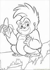 Monkey Coloring Book Rainforest Pages Colouring Jungle Library Clipart Tropical Animal Drawings sketch template