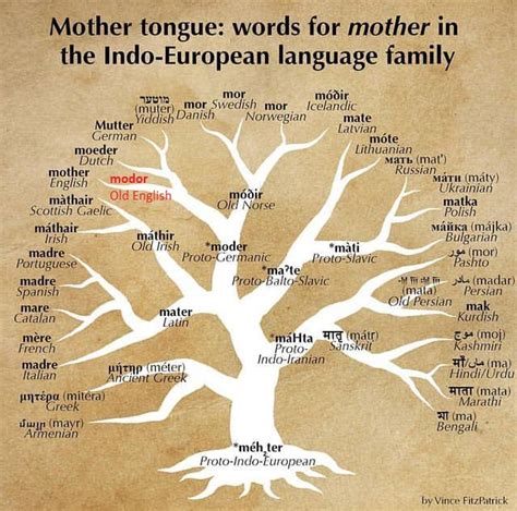 language trees  importance  mother