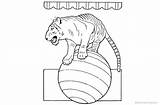 Coloring Circus Tiger Pages Printable Adults Kids sketch template