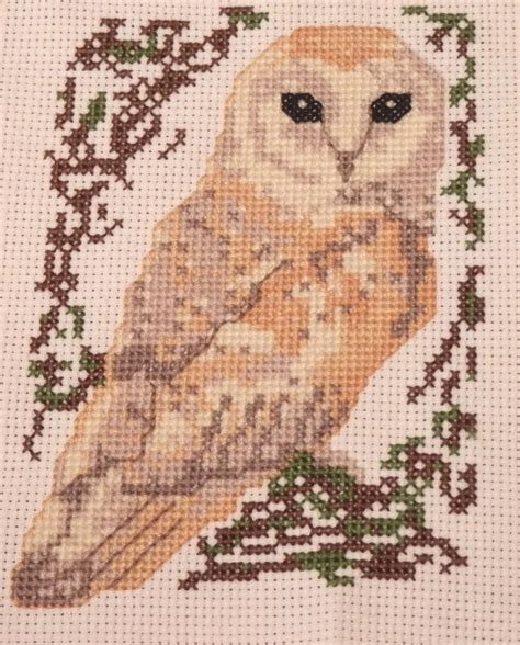 barn owl cross stitch kit birds series etsy