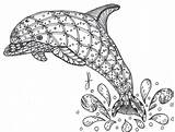 Dolphin Zentangle Coloring Printable Book Pages sketch template