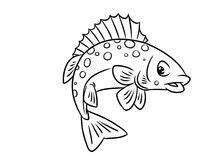 fish coloring pages stock  images pictures  images